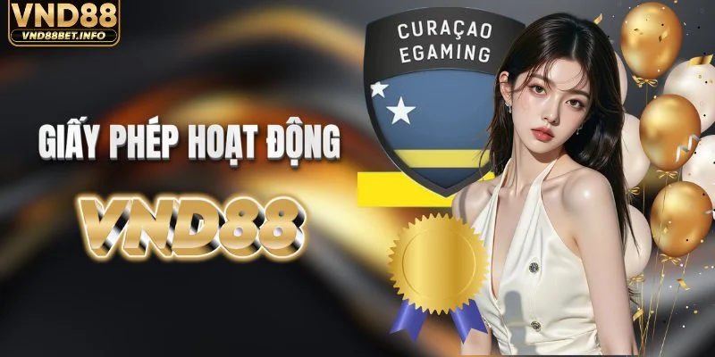 Các giấy phép hoạt động của thương hiệu