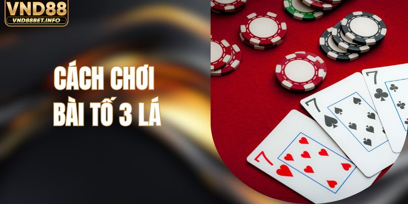 Cách Chơi Bài Tố 3 Lá Tại VND88 Chuẩn Nhất Dễ Thắng