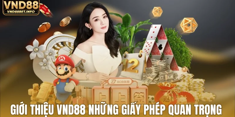 Giới thiệu VND88 những giấy phép quan trọng 