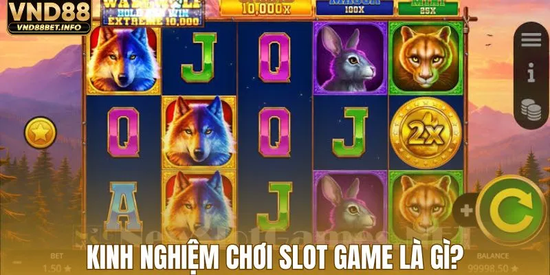 Kinh nghiệm chơi slot game là gì?