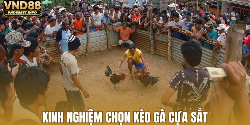 Kinh nghiệm chọn kèo gà cựa sắt của cao thủ