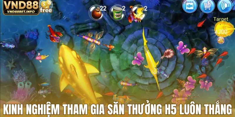 Kinh nghiệm tham gia săn thưởng H5 luôn thắng to