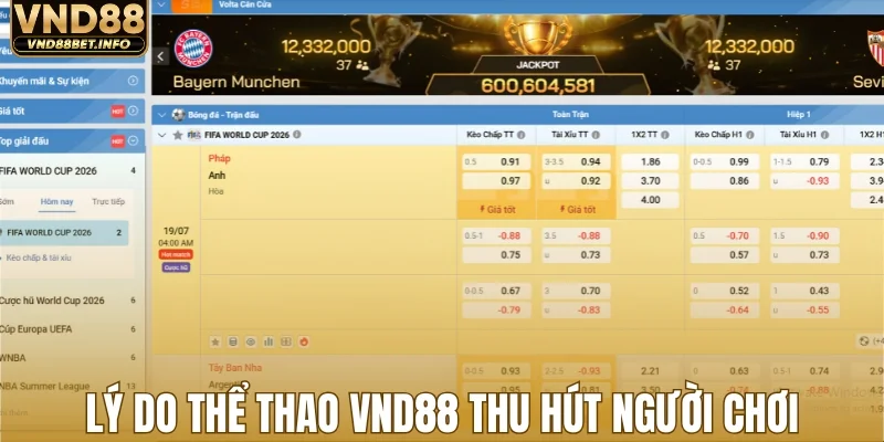 Lý do thể thao VND88 thu hút đông đảo người chơi