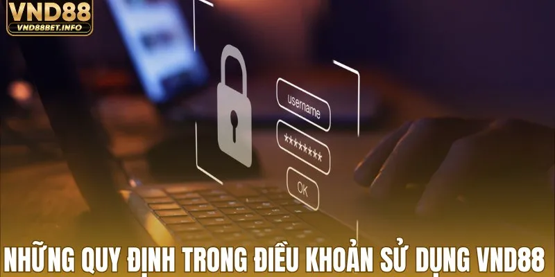 Những quy định trong điều khoản sử dụng VND88
