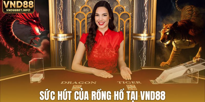 Sức hút đỉnh cao của rồng hổ tại VND88